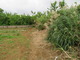 s114096-2020060392612.jpg