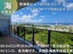 s122904-20260615175117.jpg
